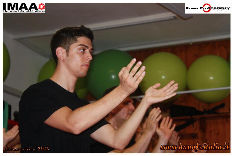 www.kungfuitalia.it kung fu academy di Sifu Salvatore Mezzone scuola di wing chun tjun tsun caserta italia imaa arti marziali e difesa personale tai chi (41)